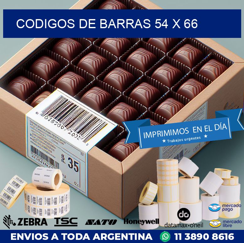 codigos de barras 54 x 66