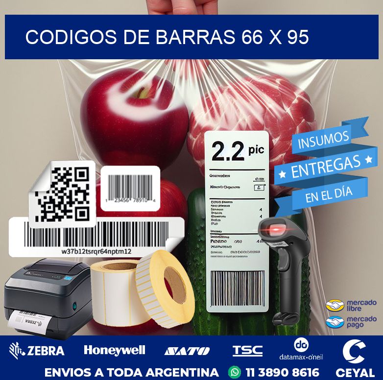 codigos de barras 66 x 95