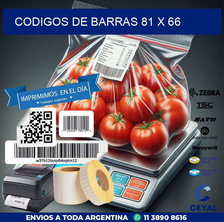 codigos de barras 81 x 66
