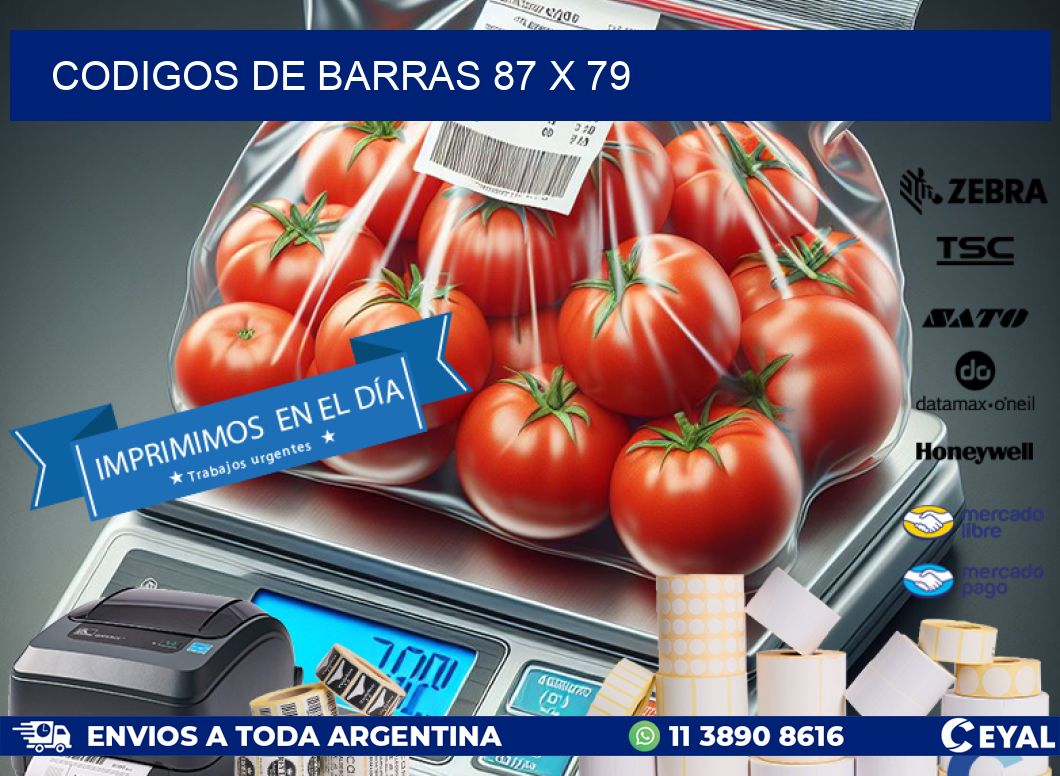 codigos de barras 87 x 79