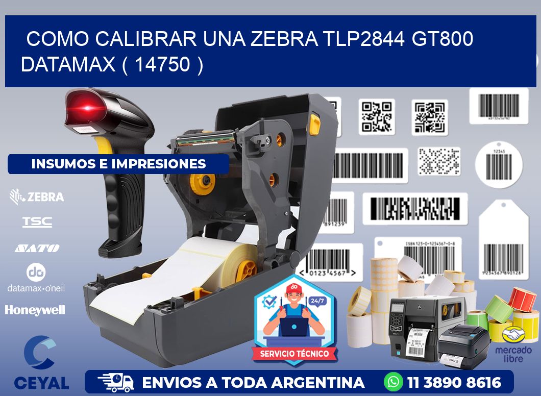 COMO CALIBRAR UNA ZEBRA TLP2844 GT800 DATAMAX ( 14750 )