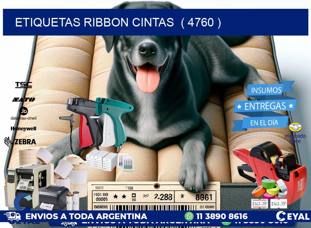 etiquetas ribbon cintas  ( 4760 )