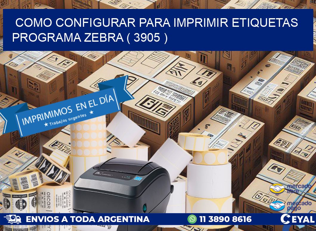 COMO CONFIGURAR PARA IMPRIMIR ETIQUETAS PROGRAMA ZEBRA ( 3905 )