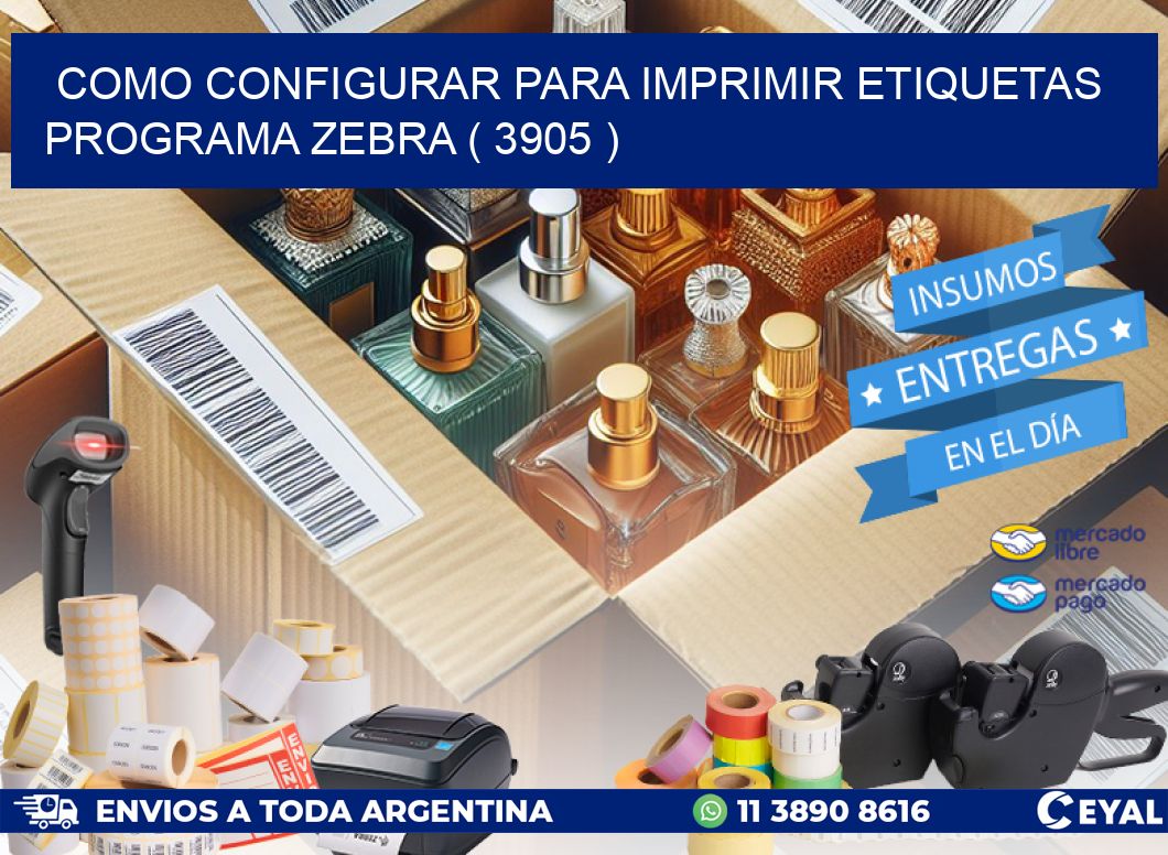 COMO CONFIGURAR PARA IMPRIMIR ETIQUETAS PROGRAMA ZEBRA ( 3905 )