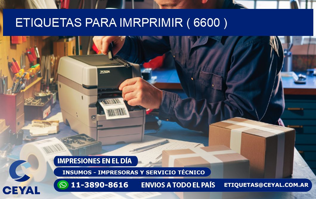 ETIQUETAS PARA IMRPRIMIR ( 6600 )