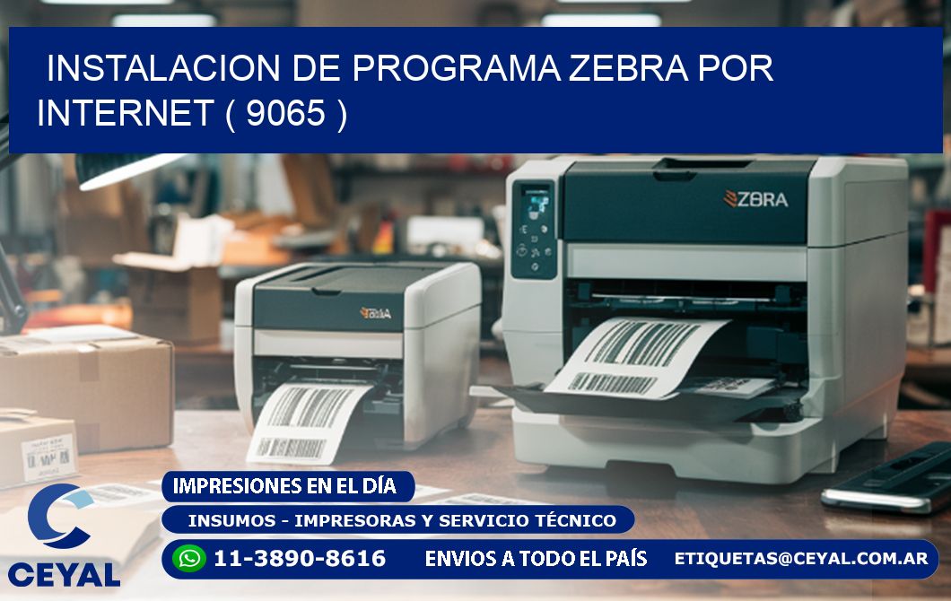 INSTALACION DE PROGRAMA ZEBRA POR INTERNET ( 9065 )