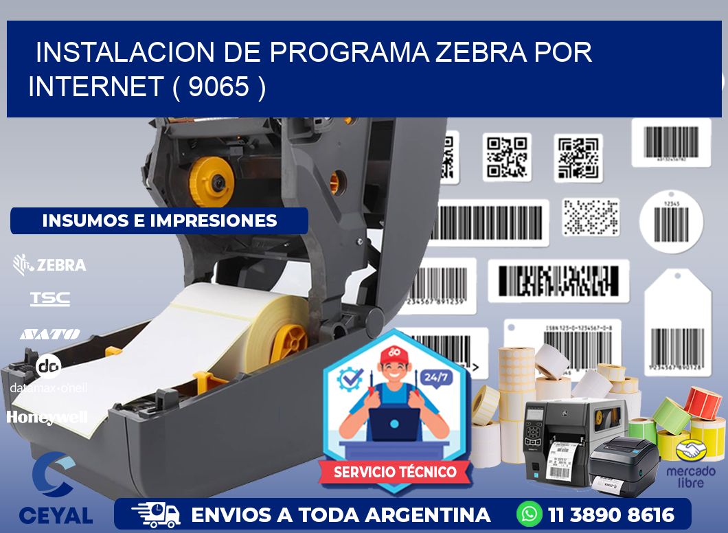 INSTALACION DE PROGRAMA ZEBRA POR INTERNET ( 9065 )