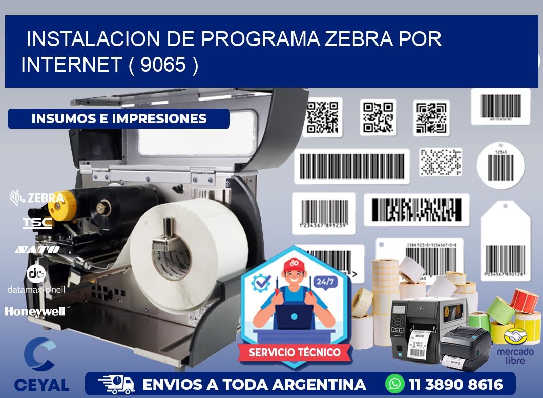 INSTALACION DE PROGRAMA ZEBRA POR INTERNET ( 9065 )