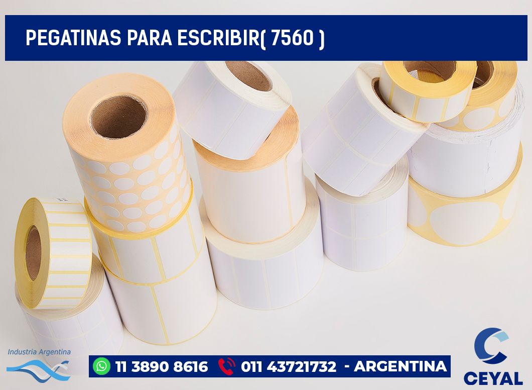 PEGATINAS PARA ESCRIBIR( 7560 )