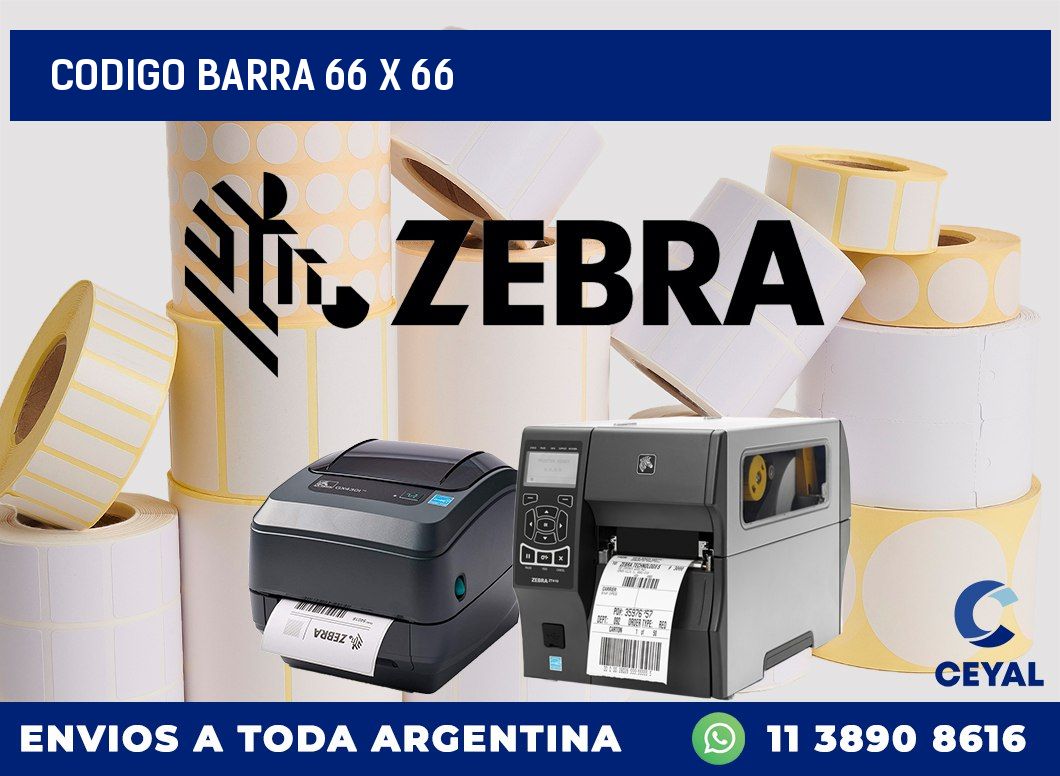 CODIGO BARRA 66 x 66
