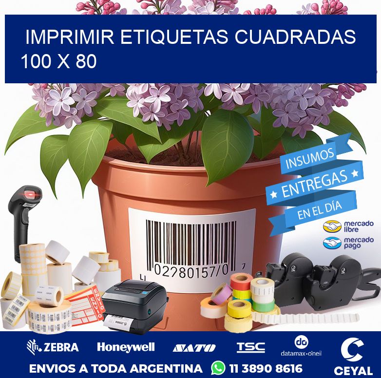 IMPRIMIR ETIQUETAS CUADRADAS 100 x 80