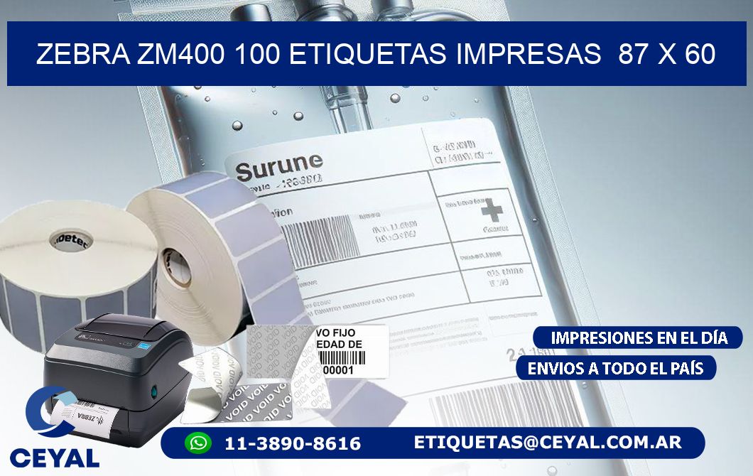 ZEBRA ZM400 100 ETIQUETAS IMPRESAS  87 x 60