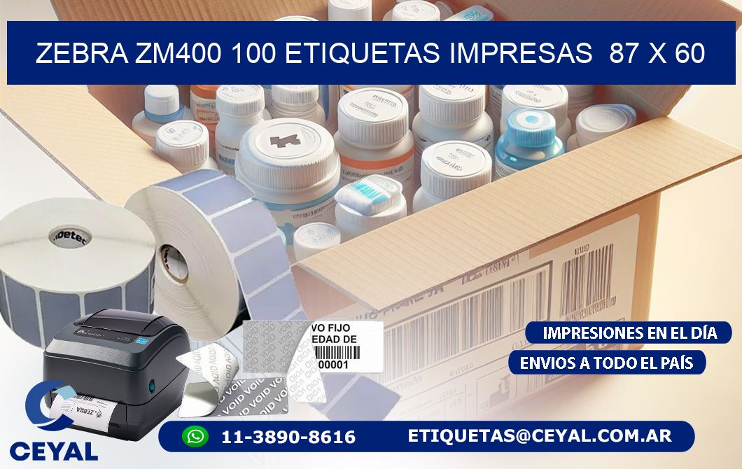 ZEBRA ZM400 100 ETIQUETAS IMPRESAS  87 x 60