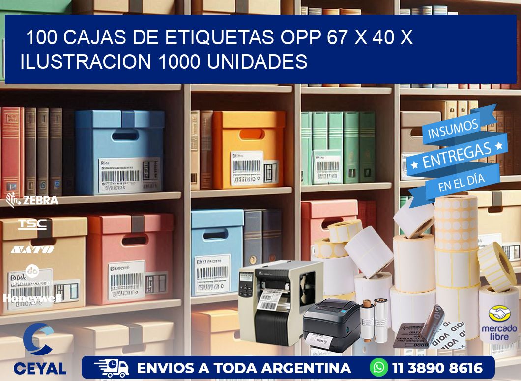 100 CAJAS DE ETIQUETAS OPP 67 x 40 X ILUSTRACION 1000 UNIDADES