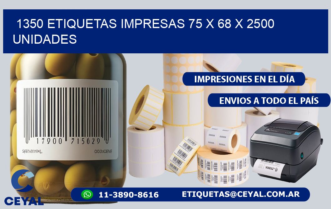 1350 ETIQUETAS IMPRESAS 75 x 68 X 2500 UNIDADES