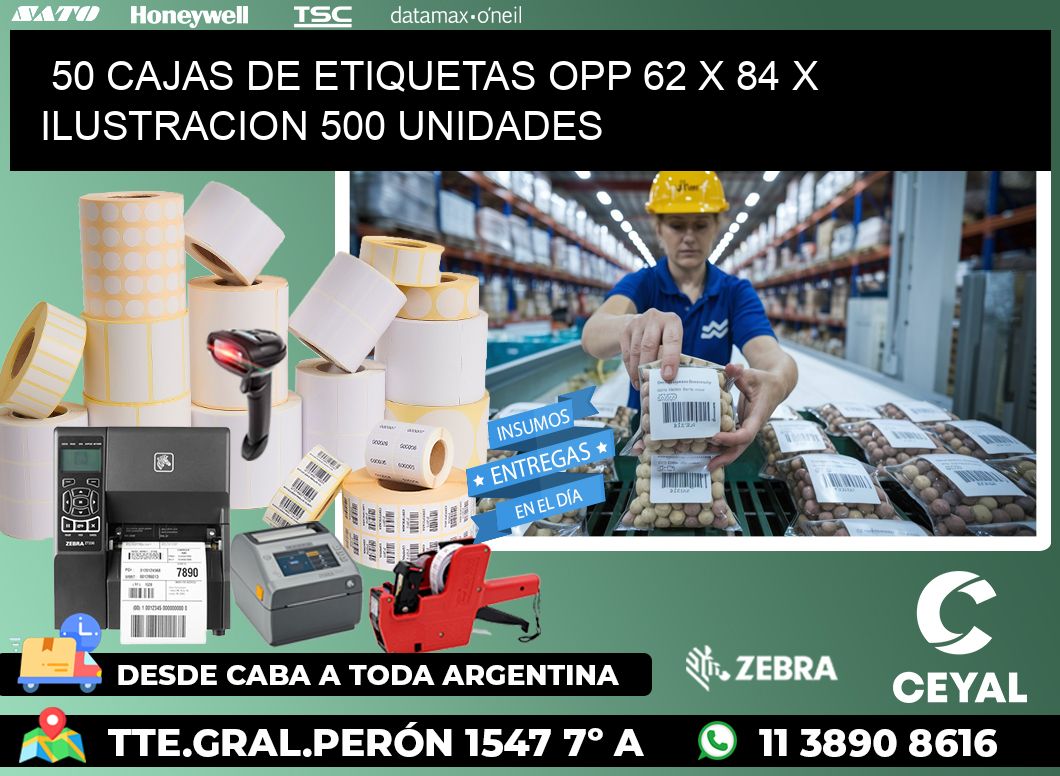 50 CAJAS DE ETIQUETAS OPP 62 x 84 X ILUSTRACION 500 UNIDADES