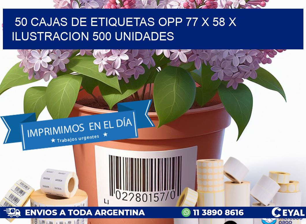 50 CAJAS DE ETIQUETAS OPP 77 x 58 X ILUSTRACION 500 UNIDADES