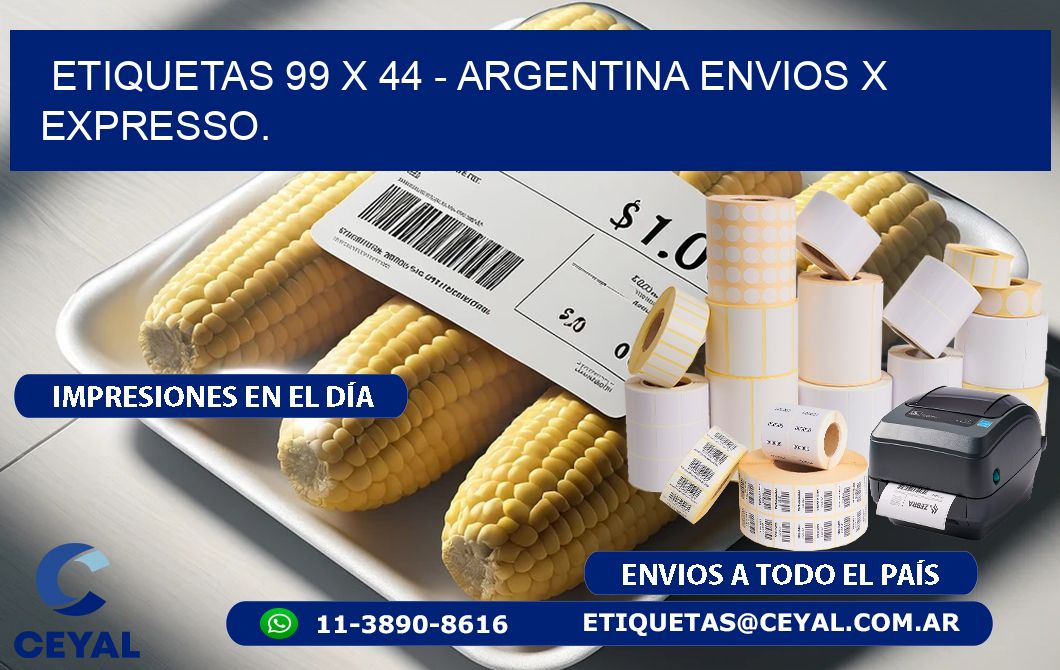 ETIQUETAS 99 x 44 - ARGENTINA ENVIOS X EXPRESSO.