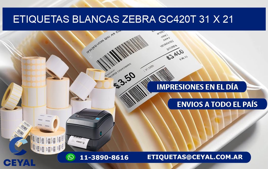 ETIQUETAS BLANCAS ZEBRA GC420T 31 x 21