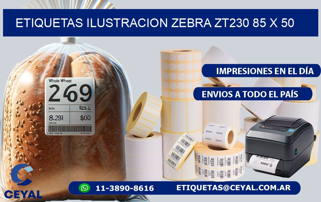 ETIQUETAS ILUSTRACION ZEBRA ZT230 85 x 50