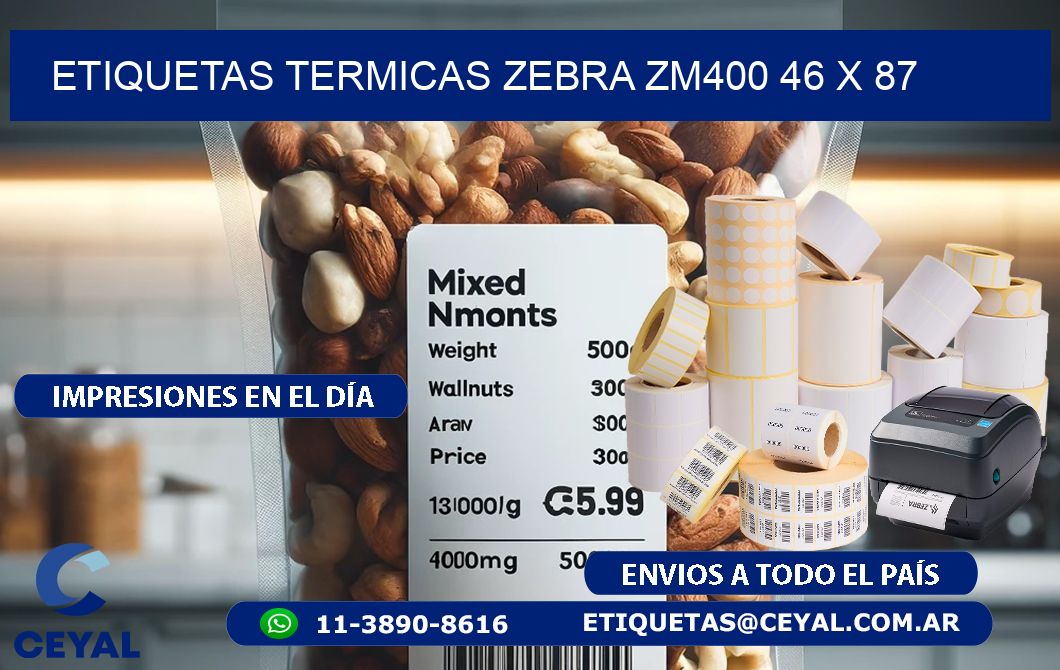 ETIQUETAS TERMICAS ZEBRA ZM400 46 x 87