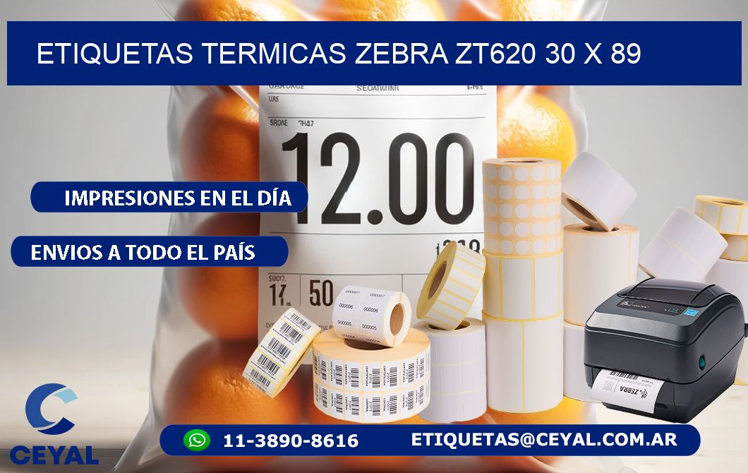 ETIQUETAS TERMICAS ZEBRA ZT620 30 x 89