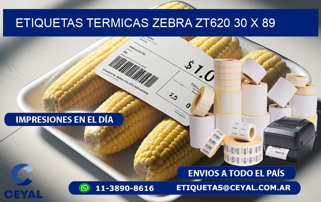 ETIQUETAS TERMICAS ZEBRA ZT620 30 x 89