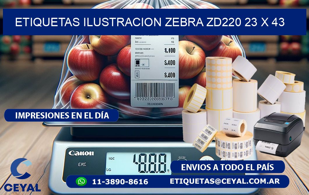 ETIQUETAS ILUSTRACION ZEBRA ZD220 23 x 43