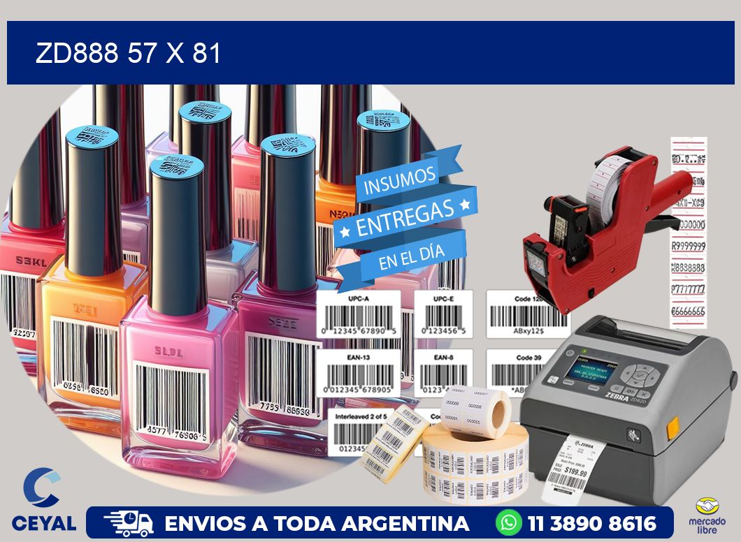 ZD888 57 x 81