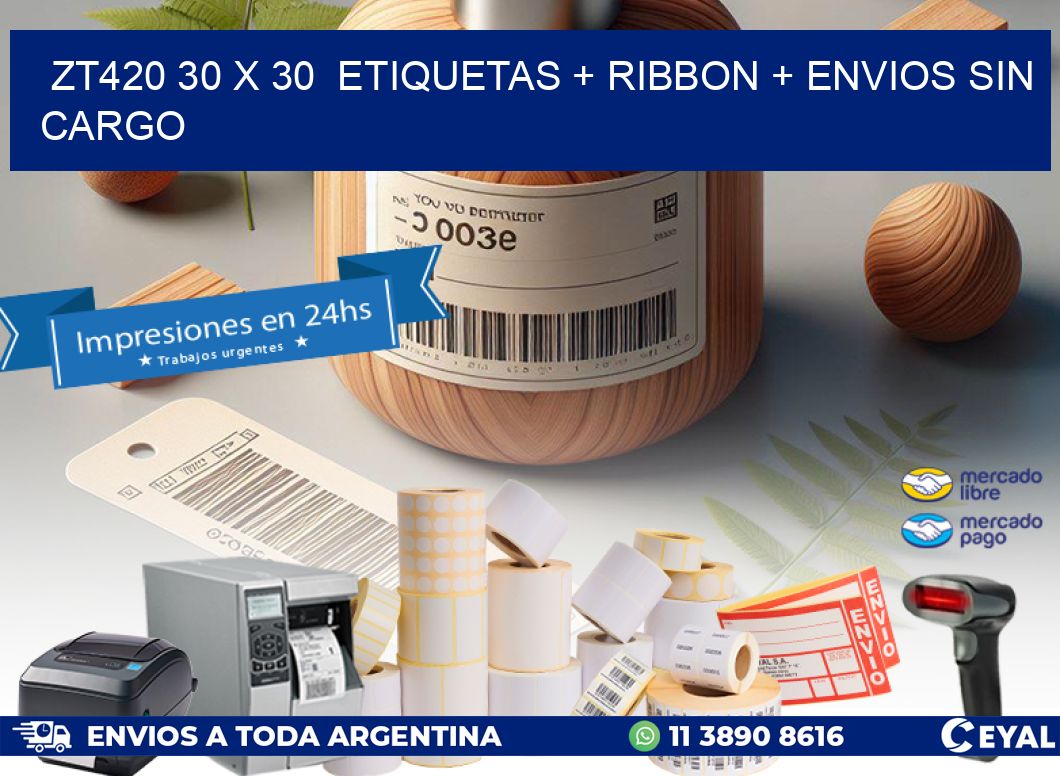 ZT420 30 x 30  etiquetas + ribbon + envios sin cargo