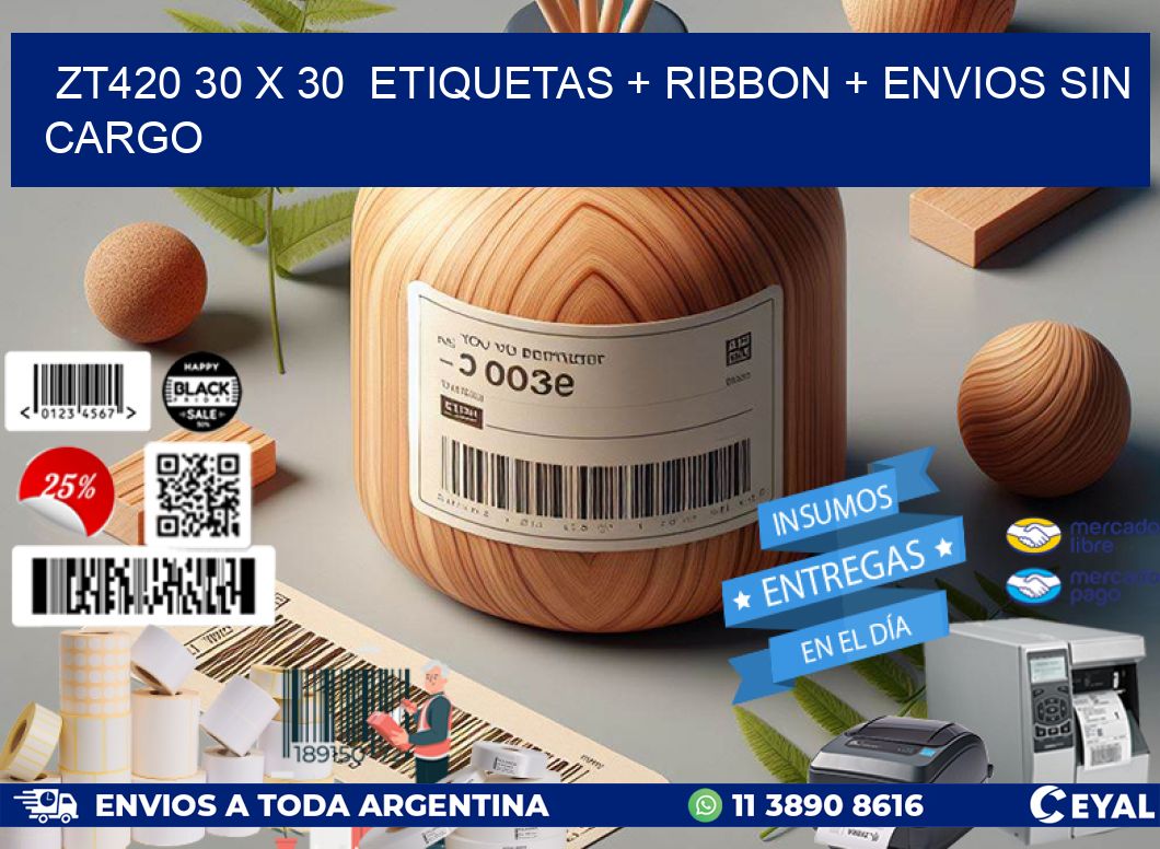 ZT420 30 x 30  etiquetas + ribbon + envios sin cargo