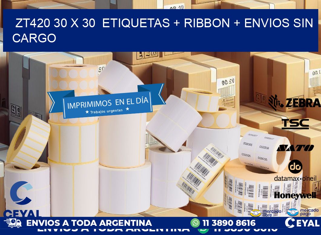 ZT420 30 x 30  etiquetas + ribbon + envios sin cargo