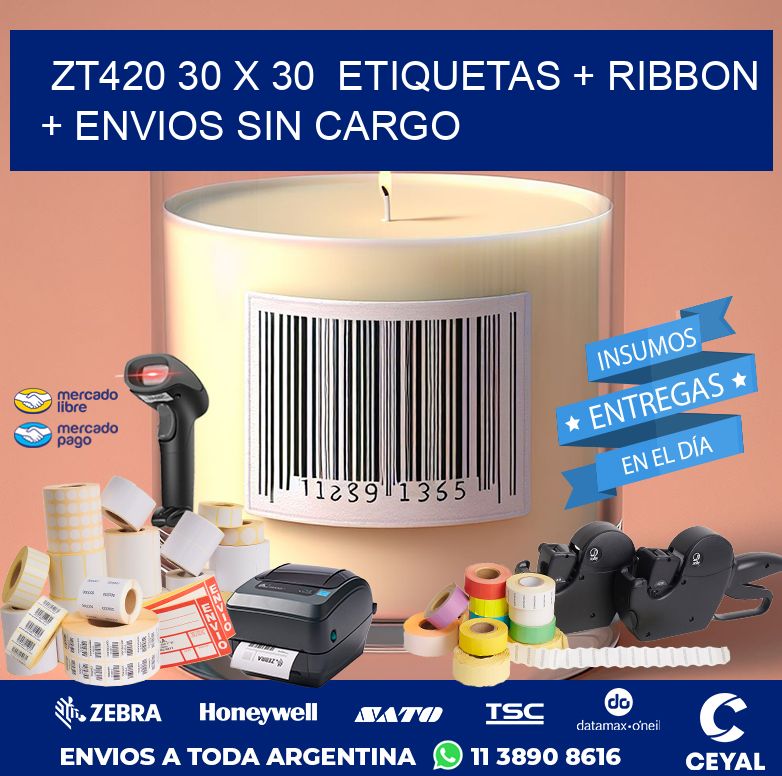 ZT420 30 x 30  etiquetas + ribbon + envios sin cargo