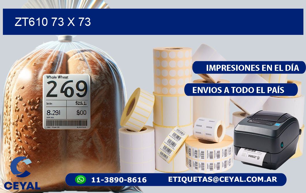 ZT610 73 x 73