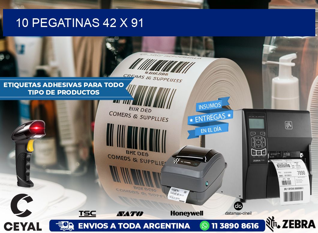 10 PEGATINAS 42 x 91