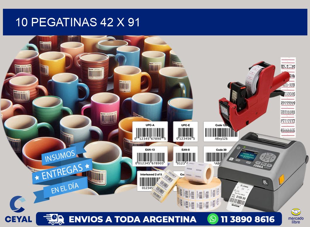 10 PEGATINAS 42 x 91