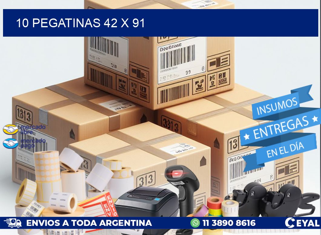 10 PEGATINAS 42 x 91