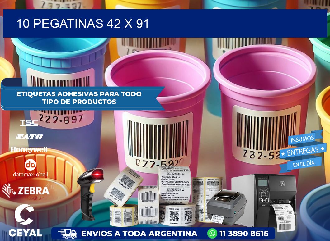 10 PEGATINAS 42 x 91