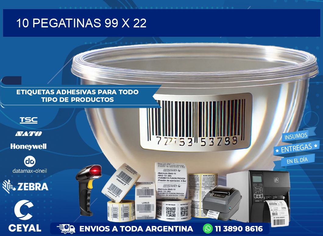 10 PEGATINAS 99 x 22