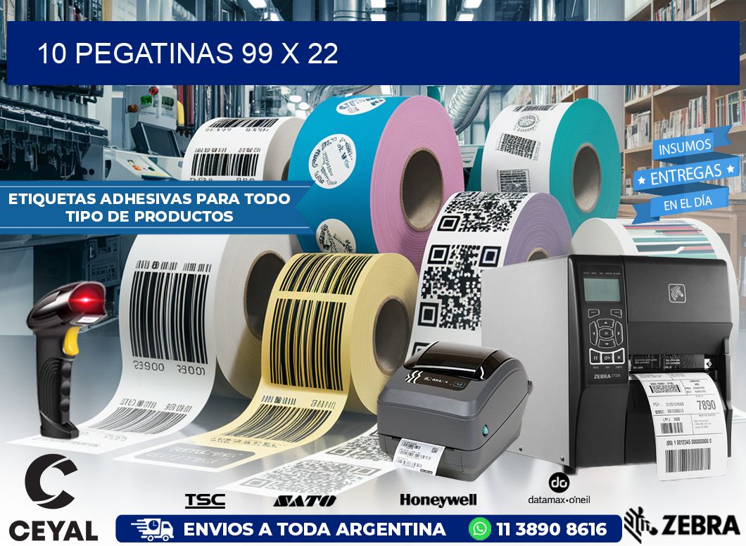 10 PEGATINAS 99 x 22