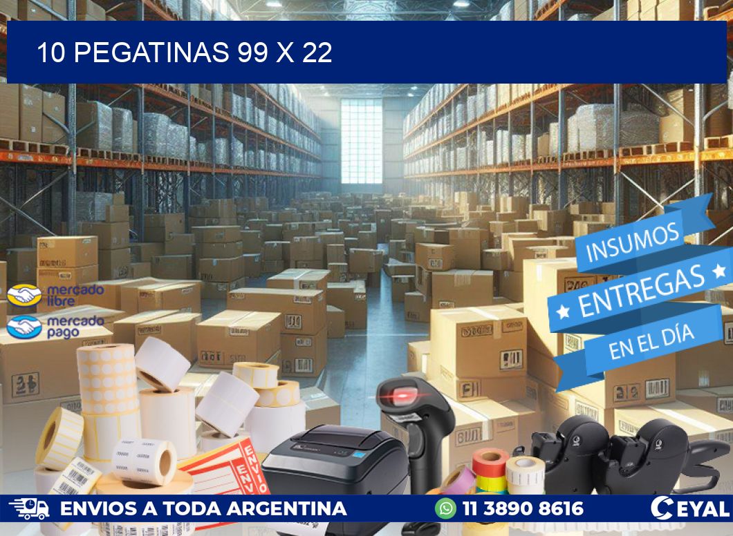 10 PEGATINAS 99 x 22