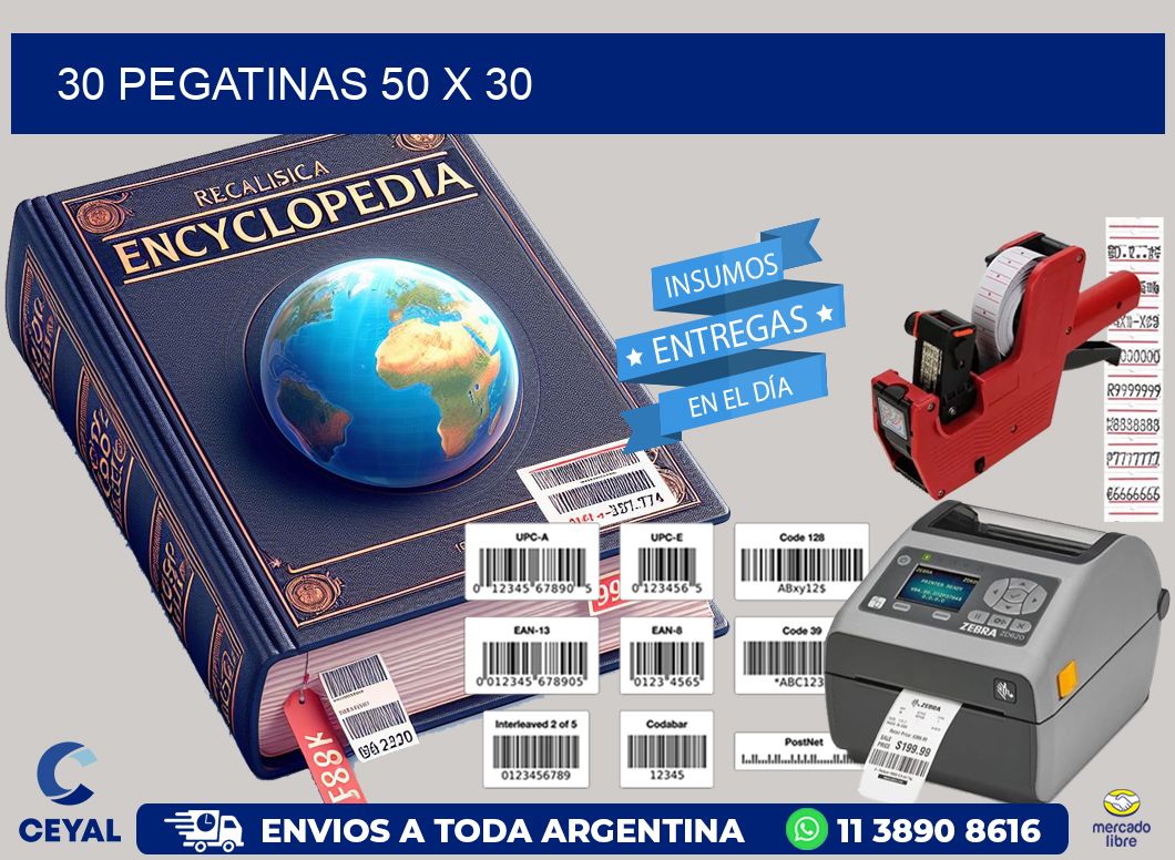 30 PEGATINAS 50 x 30