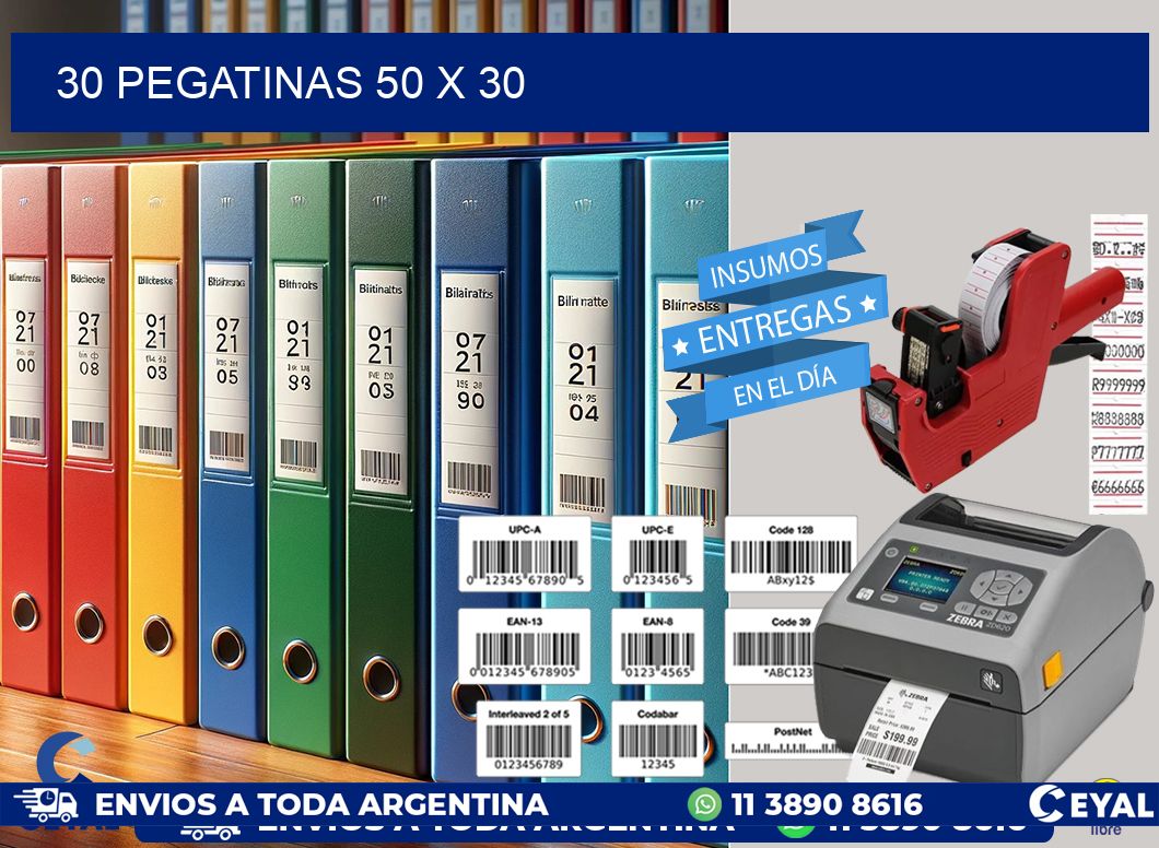30 PEGATINAS 50 x 30