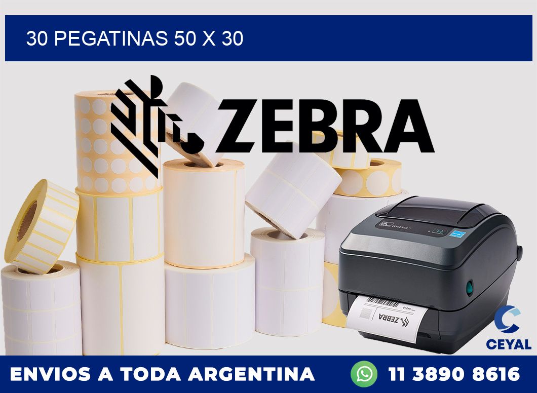 30 PEGATINAS 50 x 30