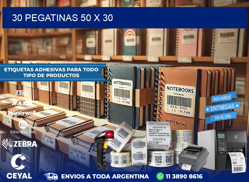 30 PEGATINAS 50 x 30