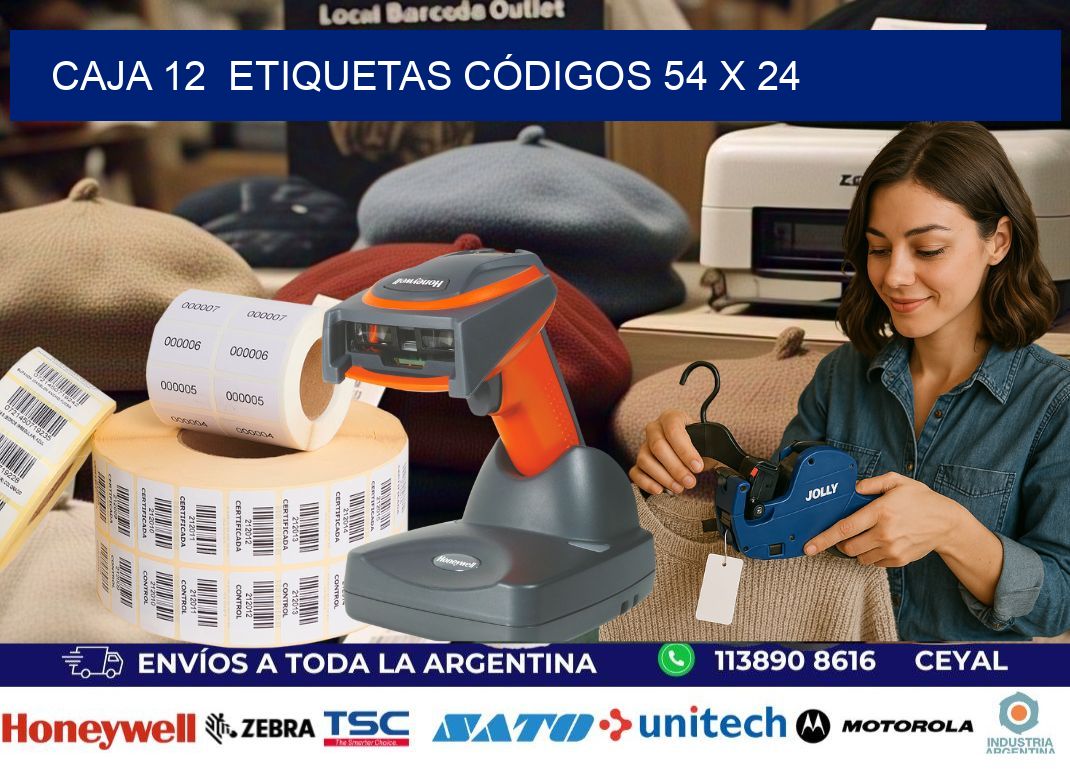 CAJA 12  ETIQUETAS CÓDIGOS 54 x 24