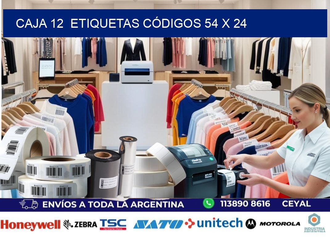 CAJA 12  ETIQUETAS CÓDIGOS 54 x 24