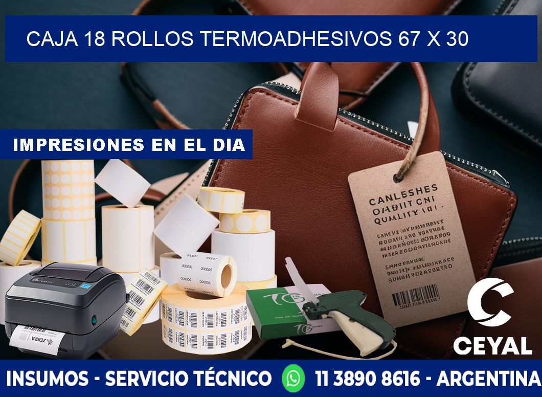 CAJA 18 ROLLOS TERMOADHESIVOS 67 x 30