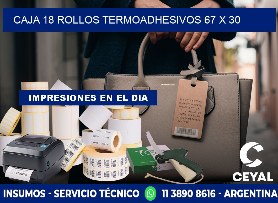 CAJA 18 ROLLOS TERMOADHESIVOS 67 x 30