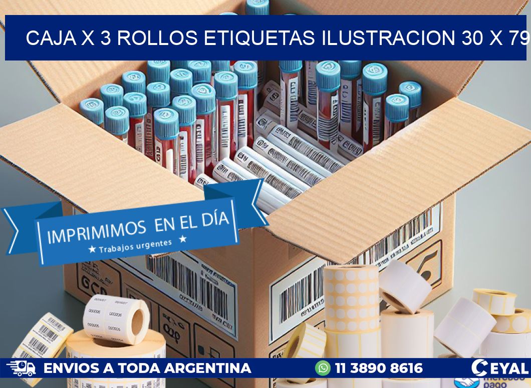 Caja X 3 Rollos Etiquetas Ilustracion 30 x 79
